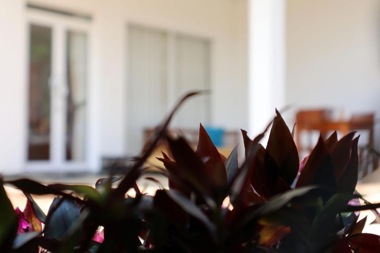 Ella Touch Bed & Breakfast Bagian luar foto