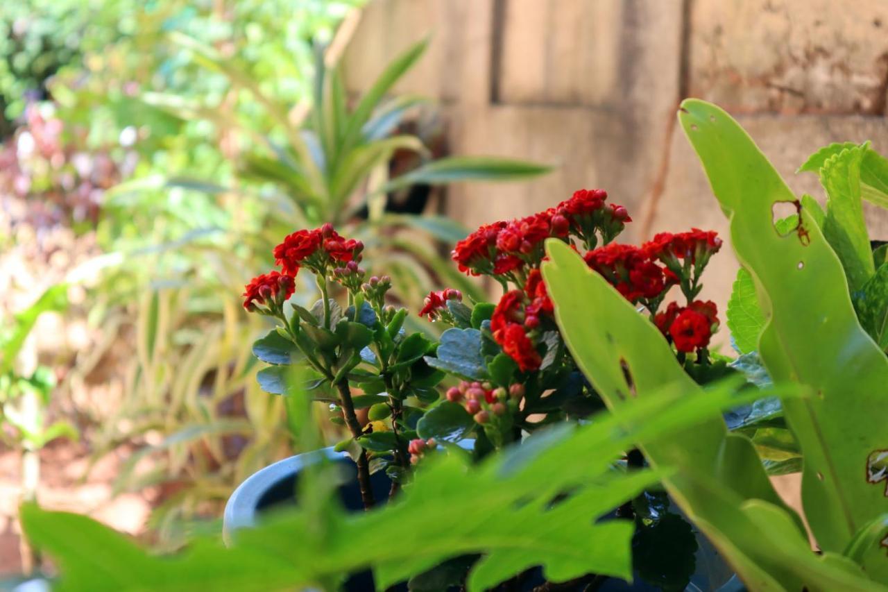 Ella Touch Bed & Breakfast Bagian luar foto