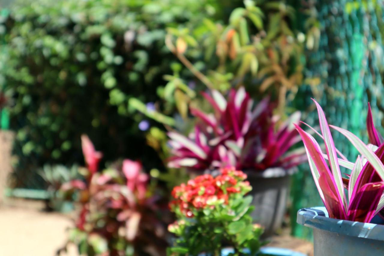 Ella Touch Bed & Breakfast Bagian luar foto