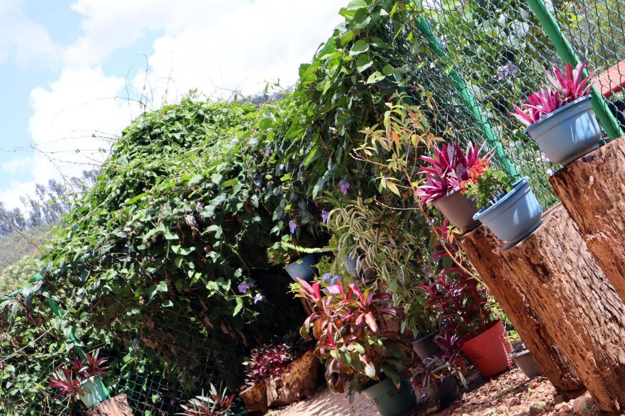 Ella Touch Bed & Breakfast Bagian luar foto